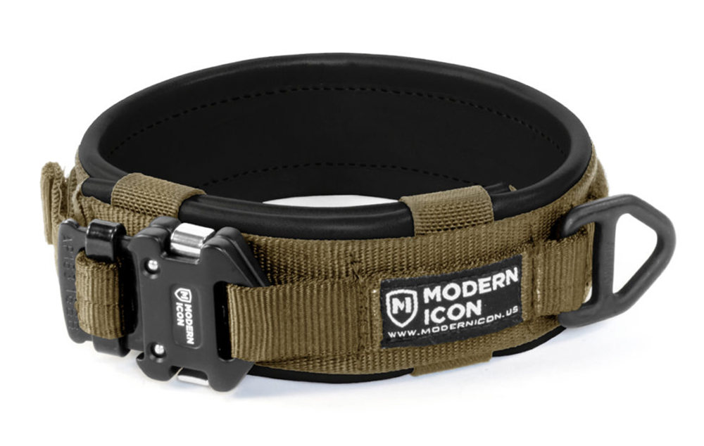 modern icon dog collar