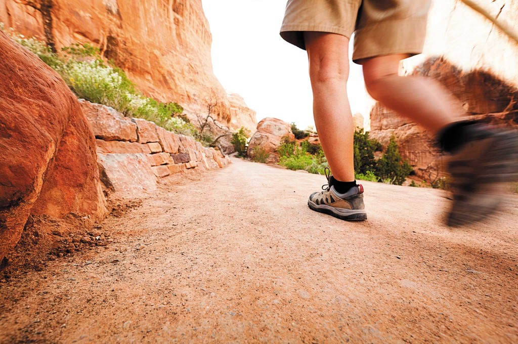 stay-or-go-marked-trail