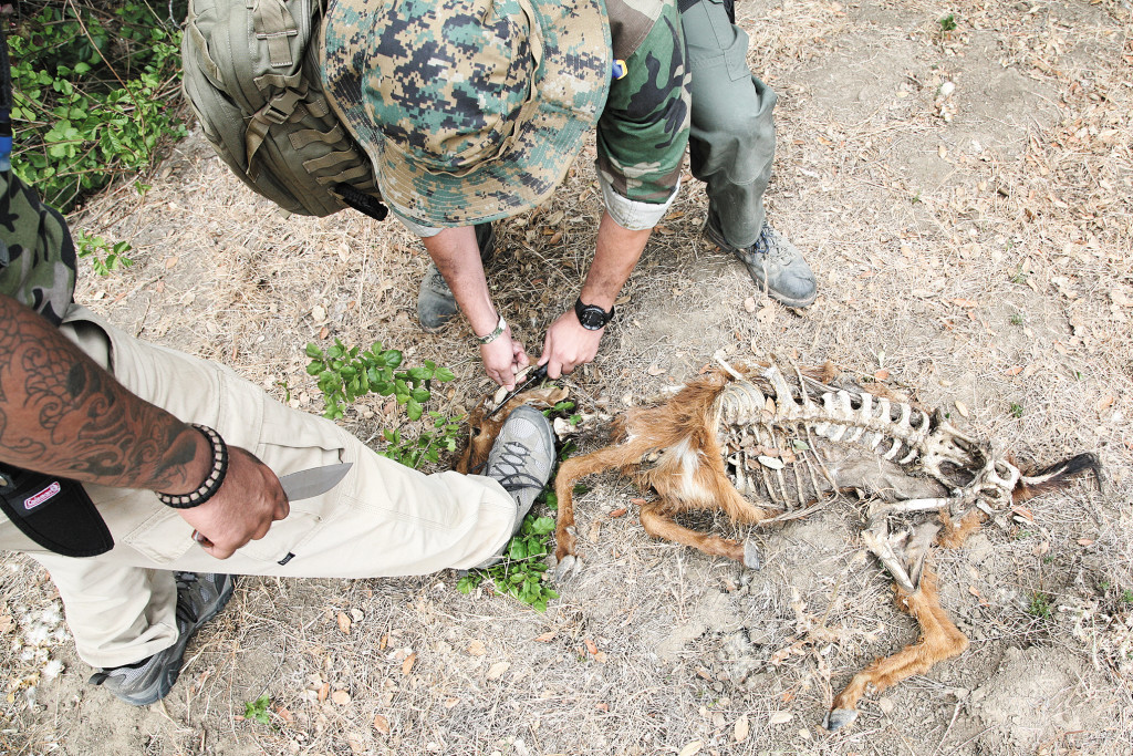 makeshift-weapons-goat-horn