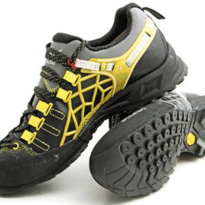 Salewa Wildfire Pro GTX