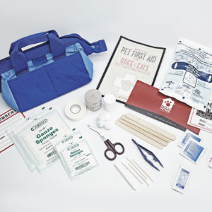 Creative Pet Products Bow Ow First Aid Kit