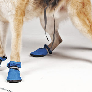 Top Paw Dog Boots