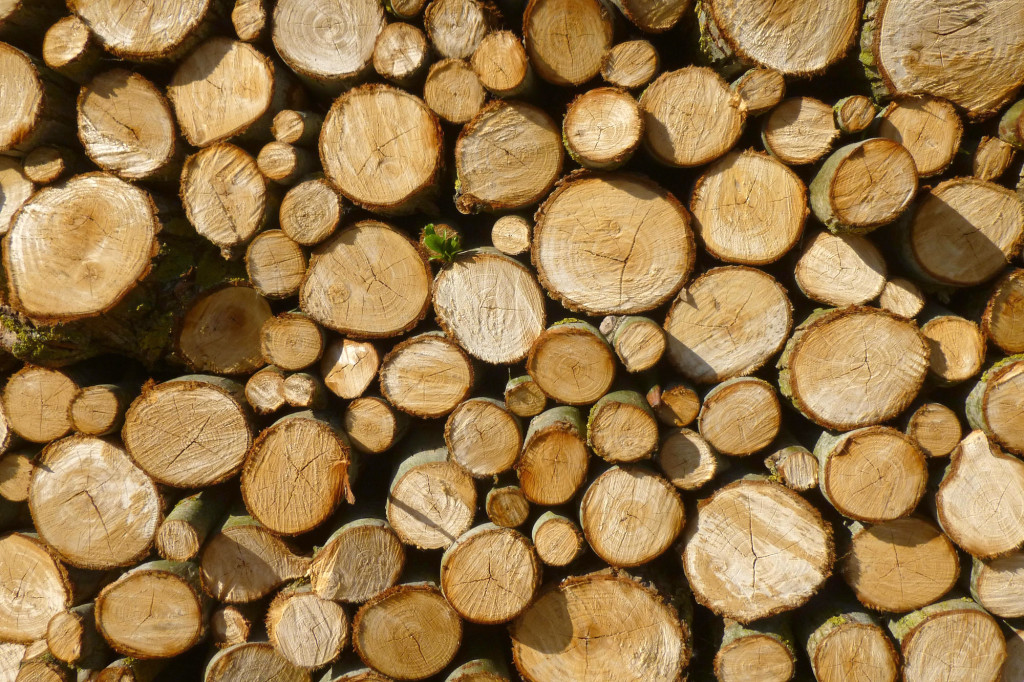 Splitting logs without axe