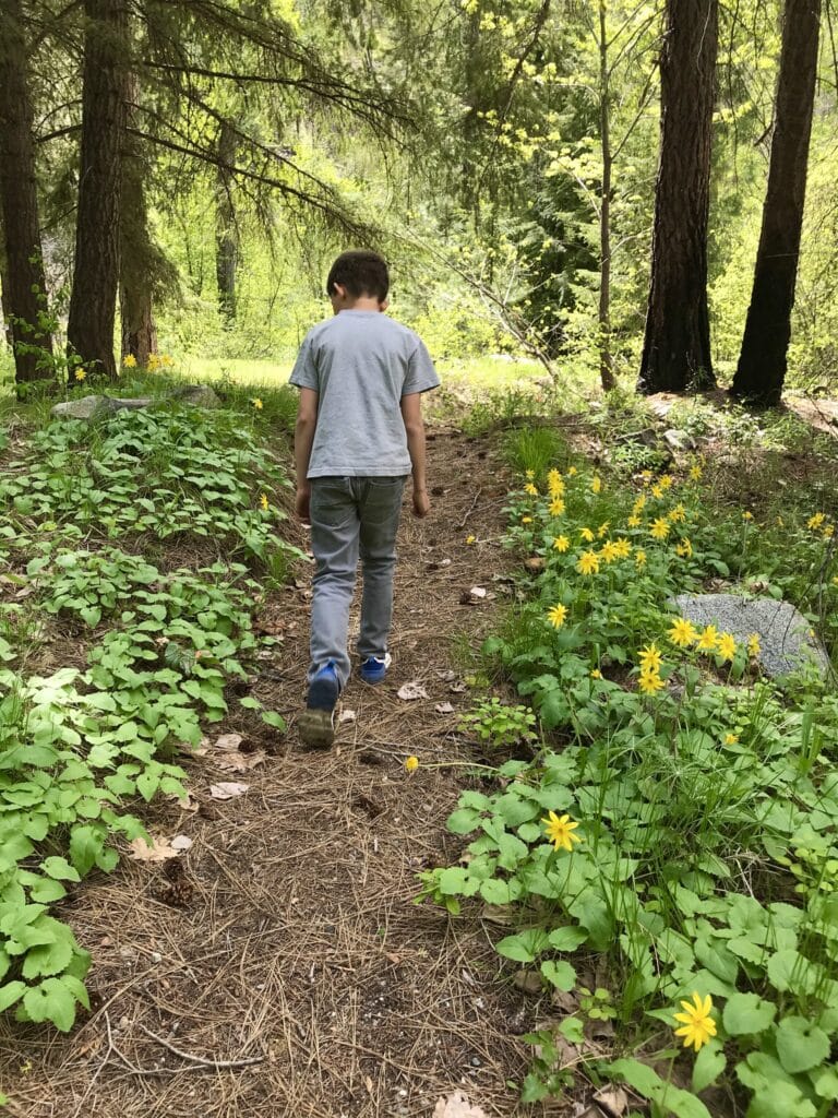 A photo of a young boy walking down a forested path.