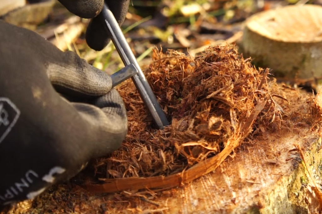 10 Natural Fire Tinders 2