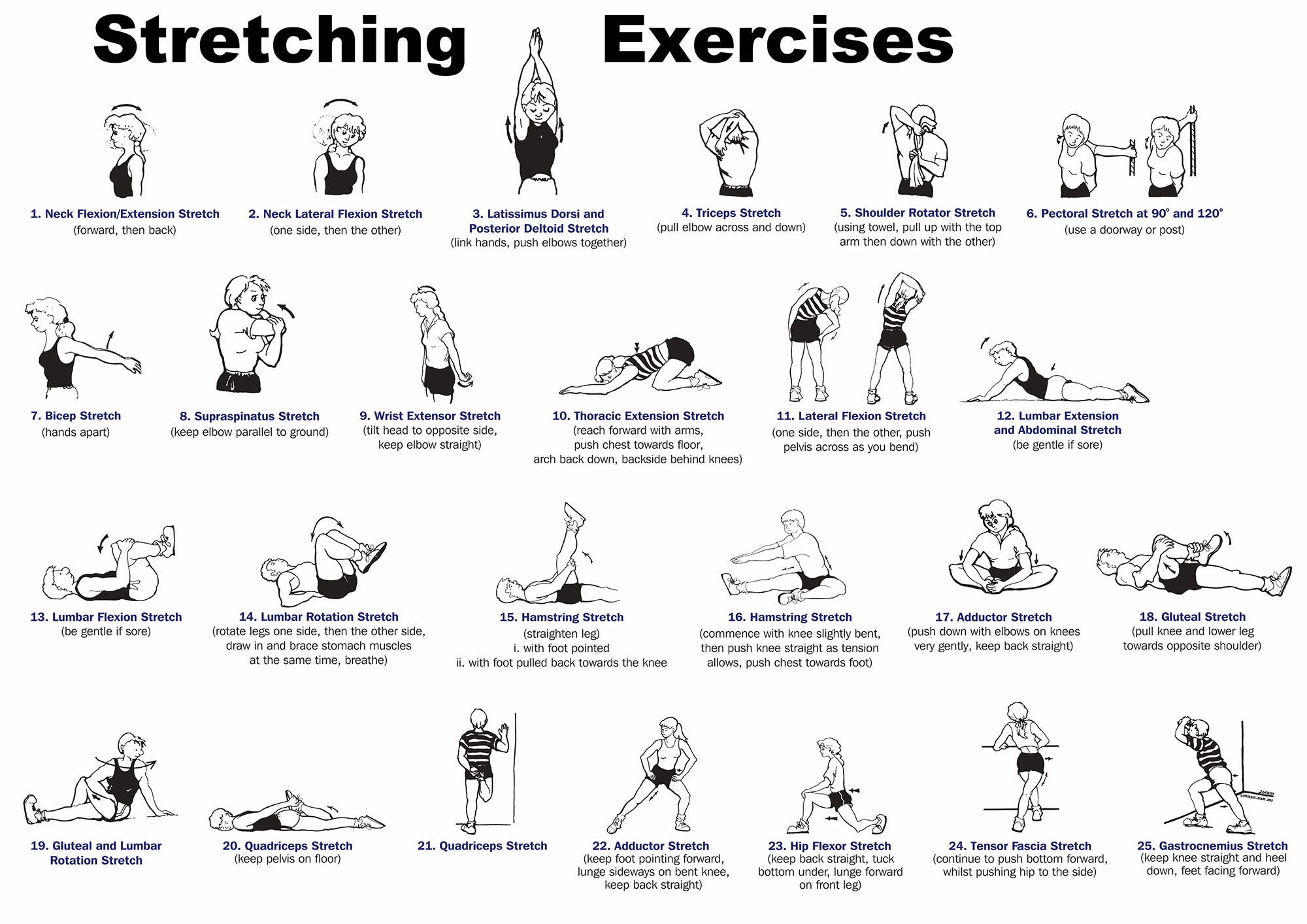 Daily Stretching Exercises