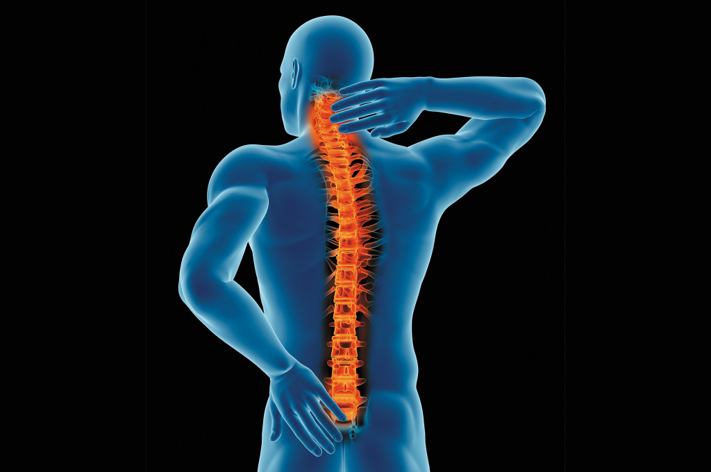 x-ray-of-the-spine