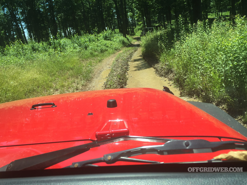 Continental General Tire Unpaved 19