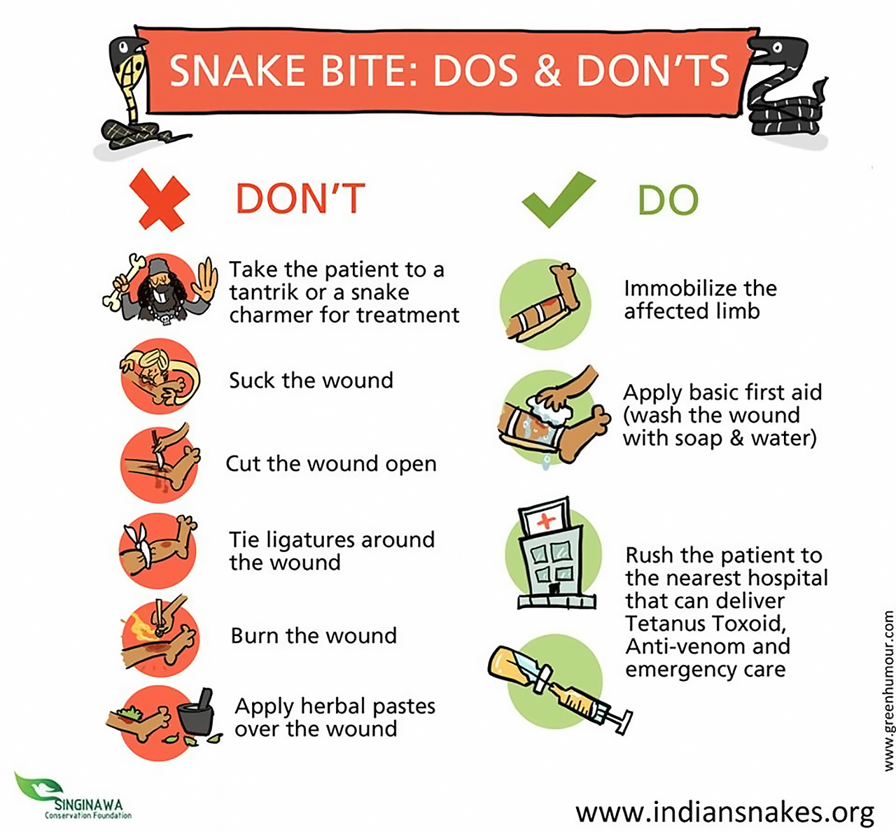 Infographic Snake Bite First Aid RECOIL OFFGRID