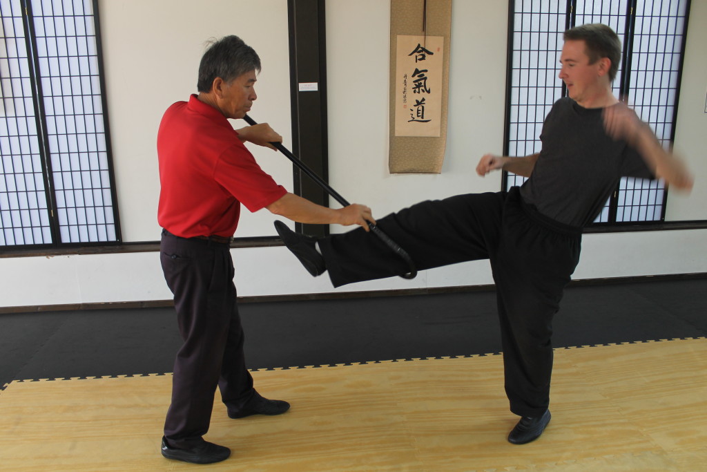 OFGP-SELFDEFENSECANE-19