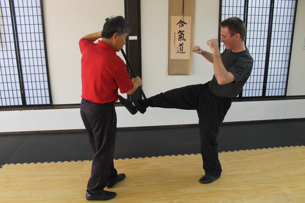 OFGP-SELFDEFENSECANE-20