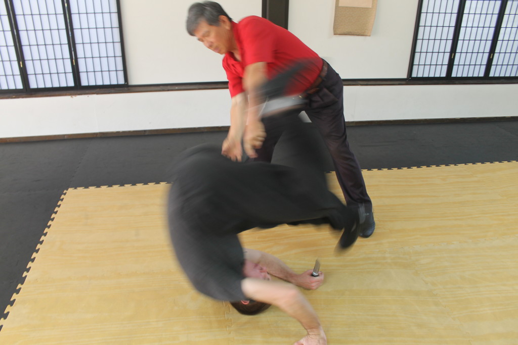 OFGP-SELFDEFENSECANE-28