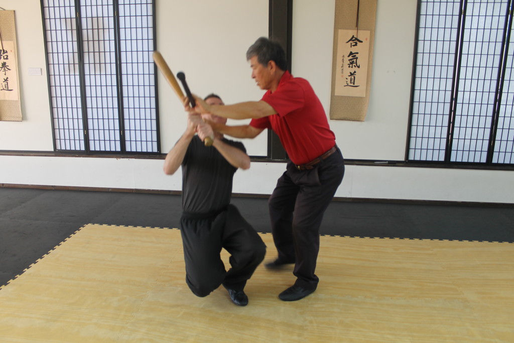 OFGP-SELFDEFENSECANE-43