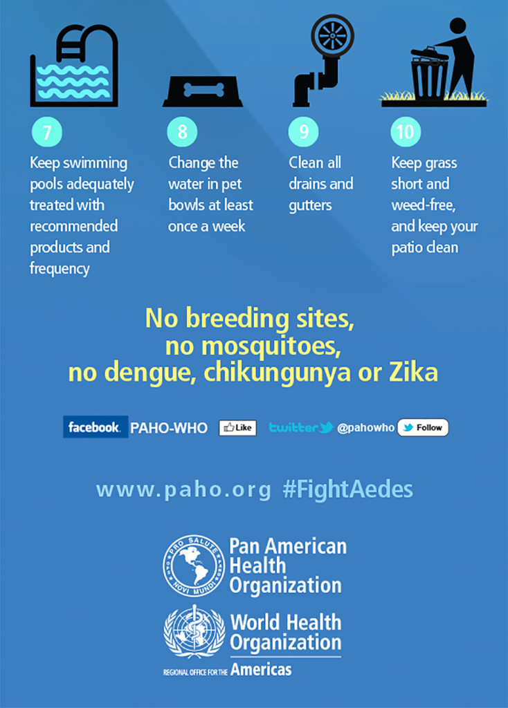 MOSQUITObreedingINFOgraphcsENG