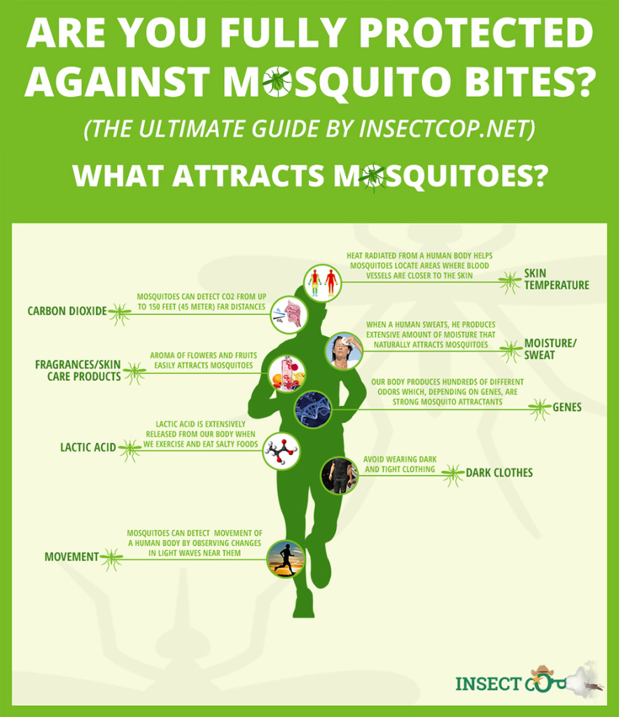 Mosquito infographic insect repellent bug pest parasite 2