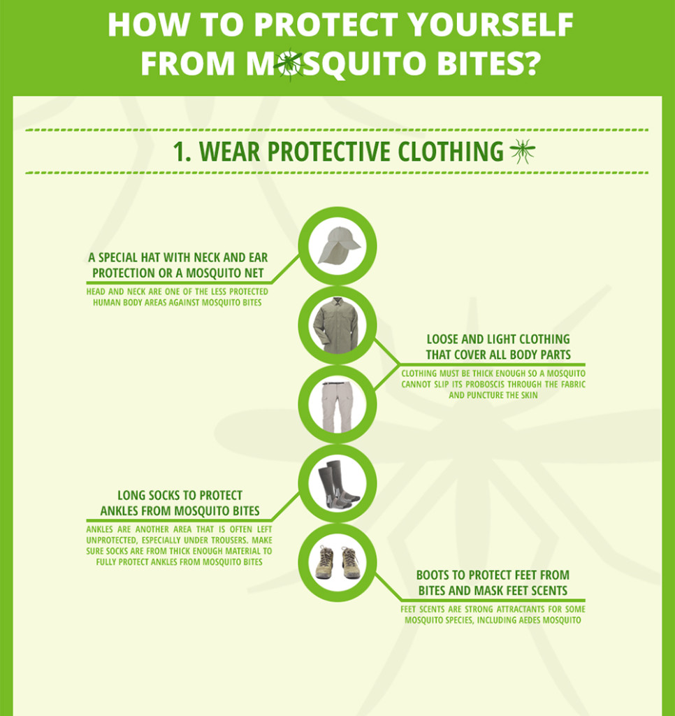 Mosquito infographic insect repellent bug pest parasite 3