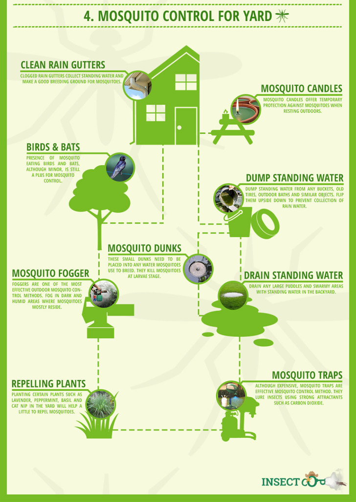 Mosquito infographic insect repellent bug pest parasite 6