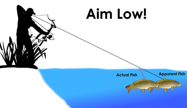 Tip: How to Aim When Spearfishing & Bowfishing | RECOIL OFFGRID
