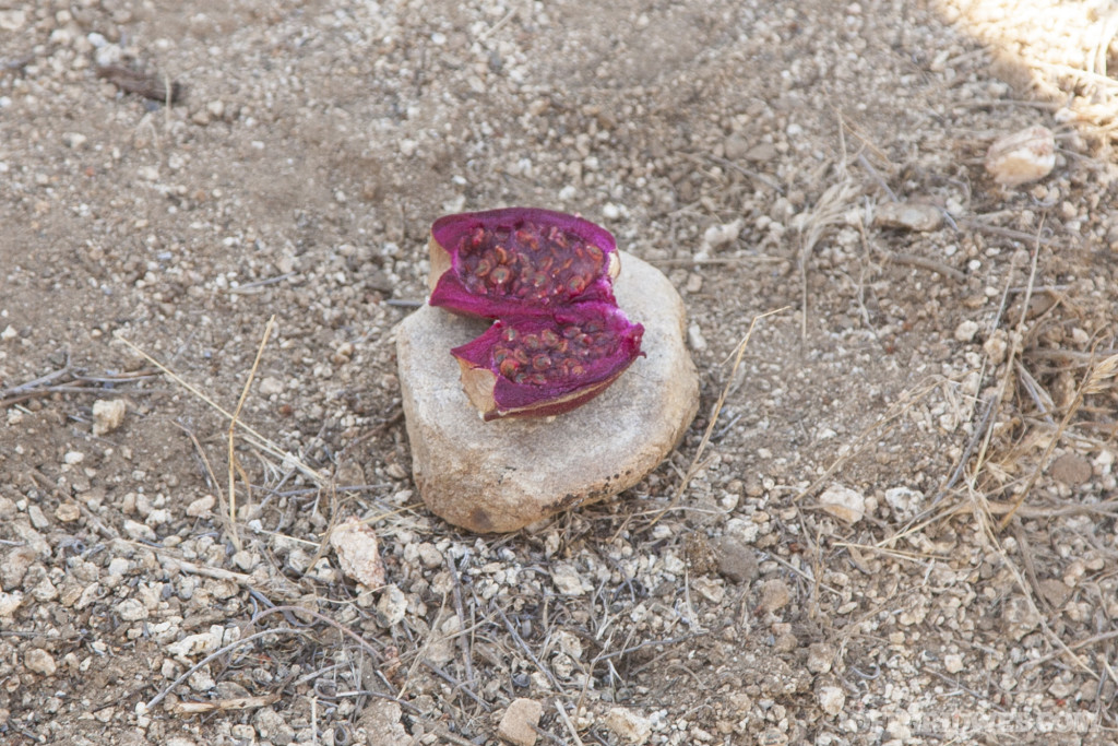 3MR survival training event 2017 fire water food tools 30