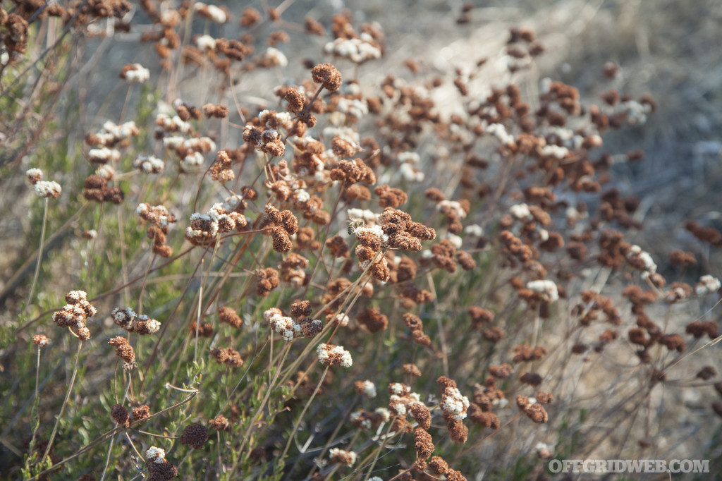 3MR survival training event 2017 fire water food tools 33