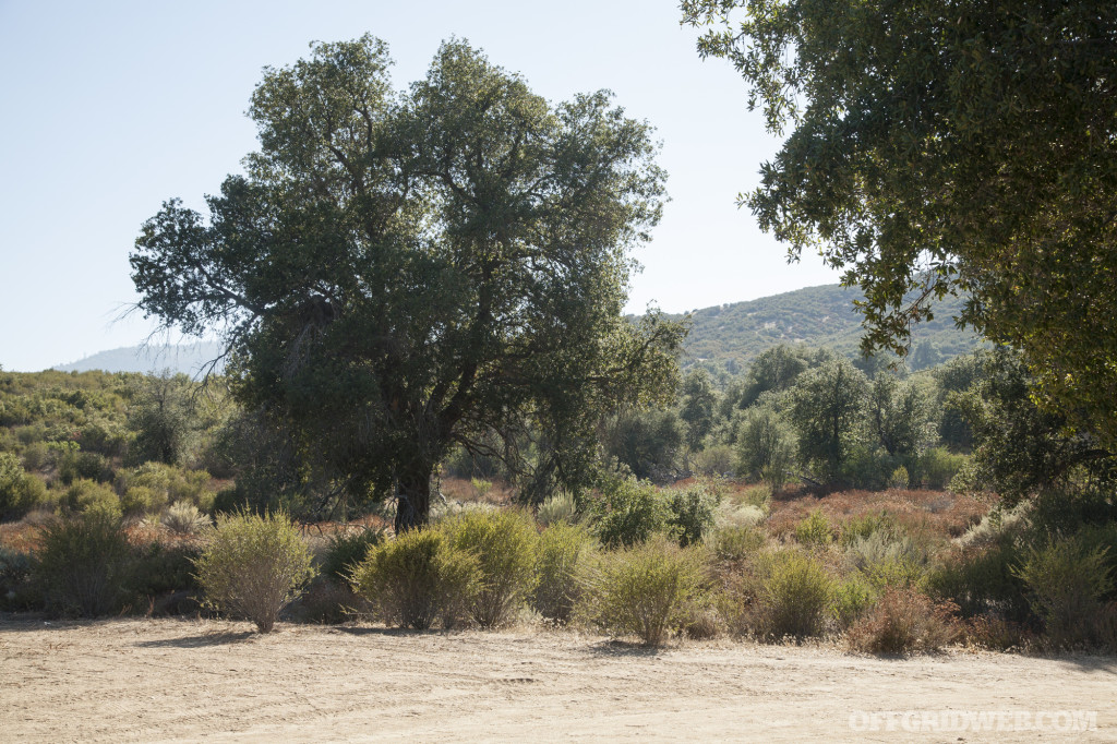 3MR survival training event 2017 fire water food tools 55