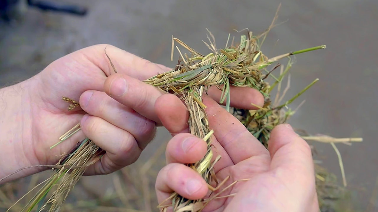Video: Weaving Simple & Strong Grass Rope