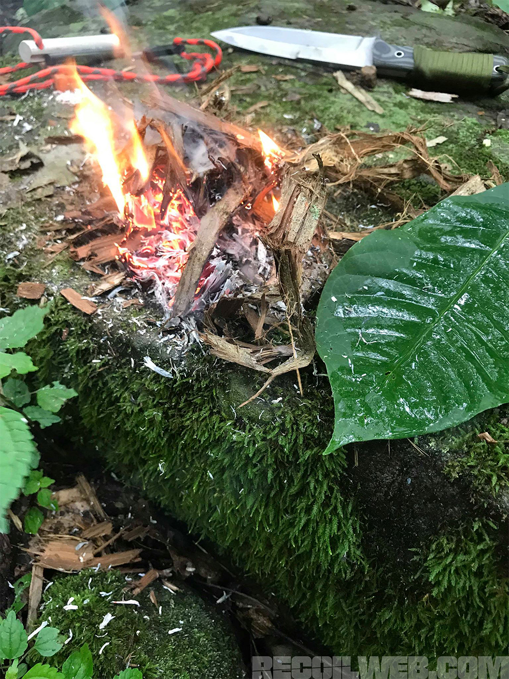 Justin Vititoe rain training prepping weather fire survival forest camping 3