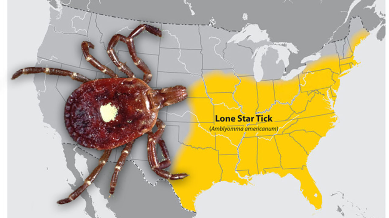 Red Meat Allergy Tick Map Red Meat Allergies Are On The Rise Due To Tick Bites | Recoil Offgrid