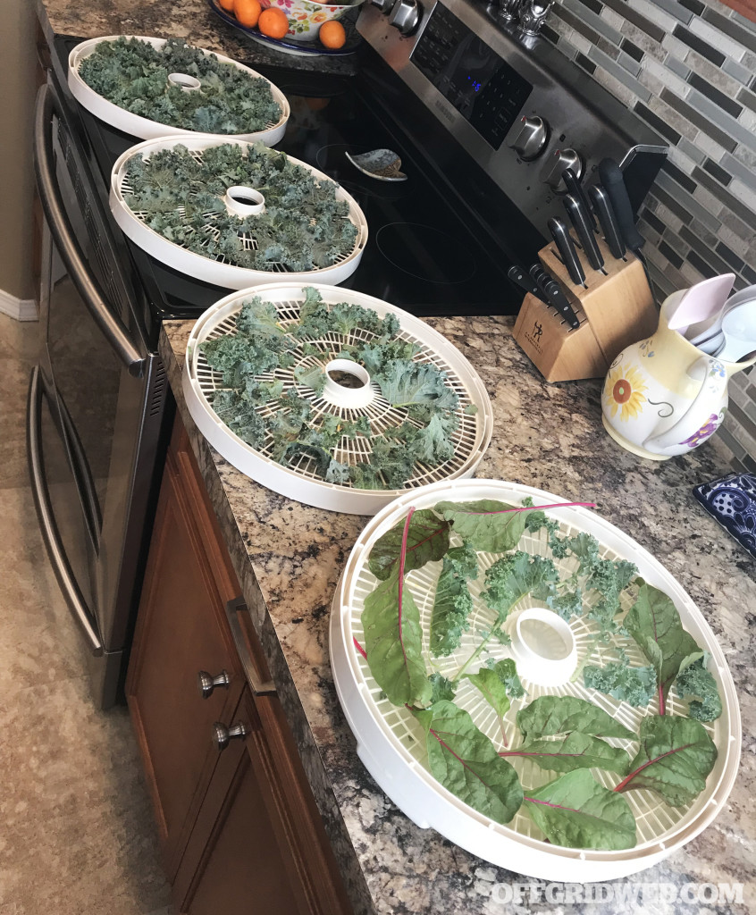 Dehydrated soup base vegetable garden food dried shelf stable survival prepper 2