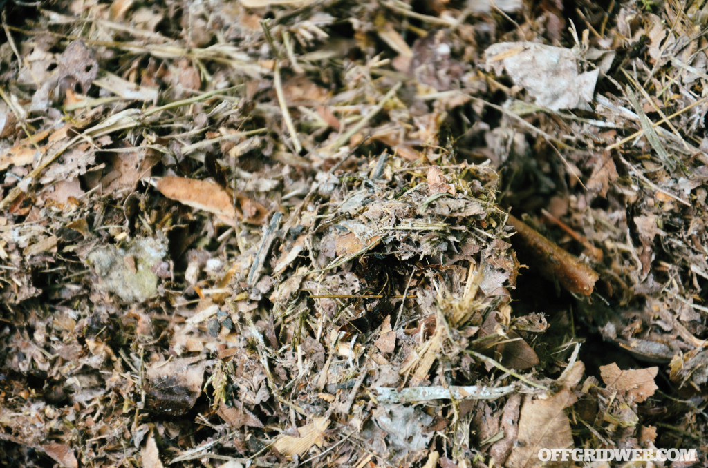 You may also want to invest a large bucket to hold some of the organic material until you've collected enough for use.