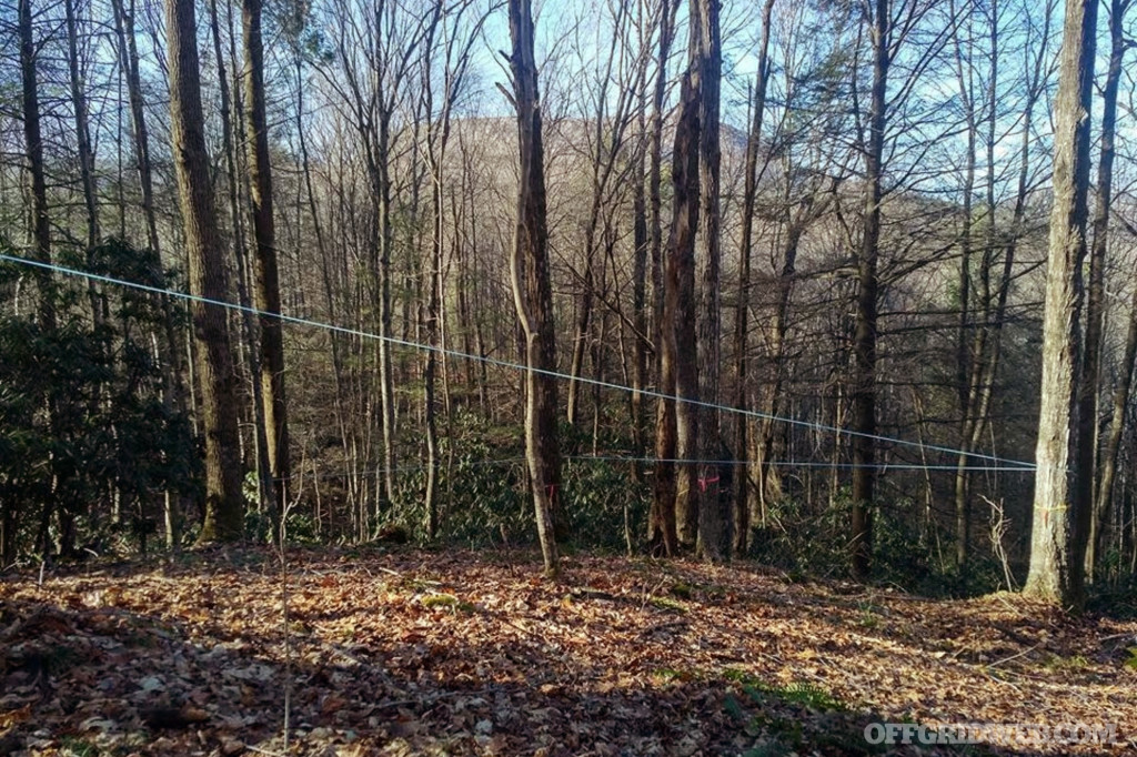 Syrup maple trees tapping sap survival preparedness winter food 9