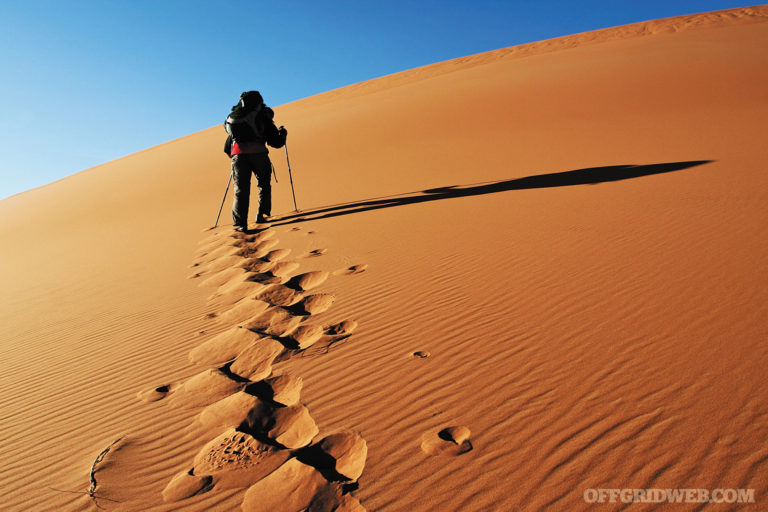 Hot and Bothered: Surviving Heat & Humidity