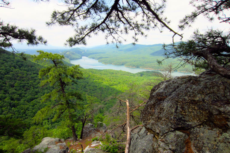 Hikers Attacked by Machete-Wielding Man on Appalachian Trail