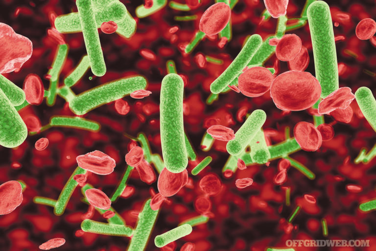 Germ Warfare: How to Fight Infections After SHTF