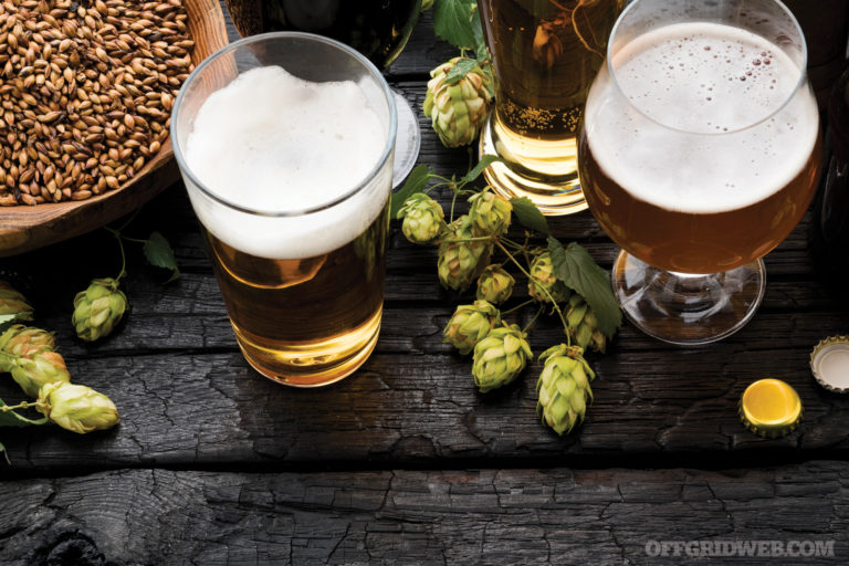 Last-Resort Libations: Home Brewing Beer and Wine