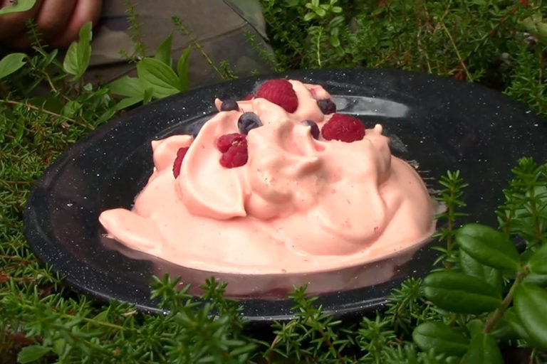 Video: “Indian Ice Cream” from the Soapberry Plant