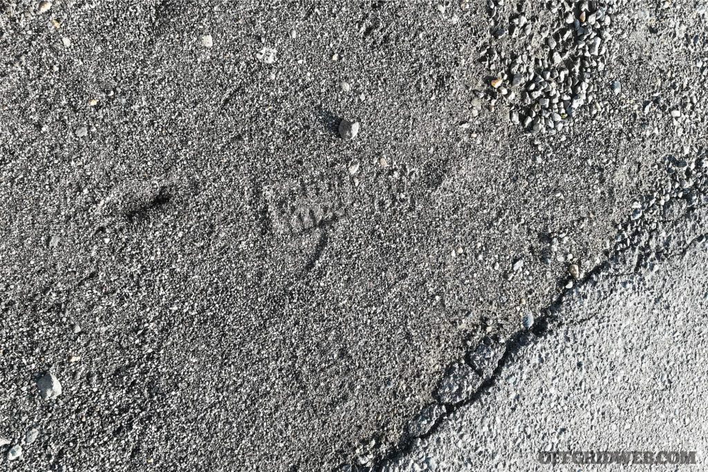 Pounding Pavement: Man-Tracking Skills for Urban Environments | RECOIL ...