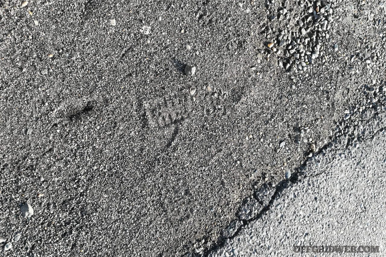Pounding Pavement: Man-Tracking Skills for Urban Environments | RECOIL ...