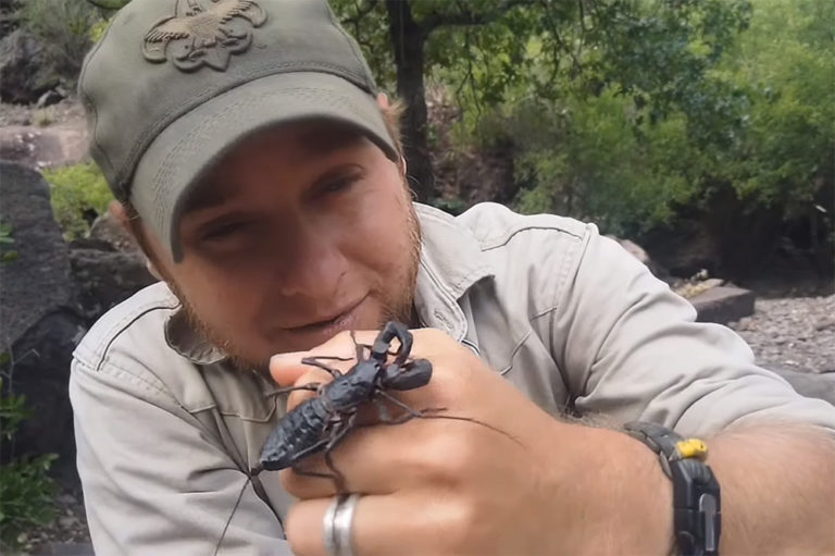 Video: Eating Whip Scorpions as a Survival Food