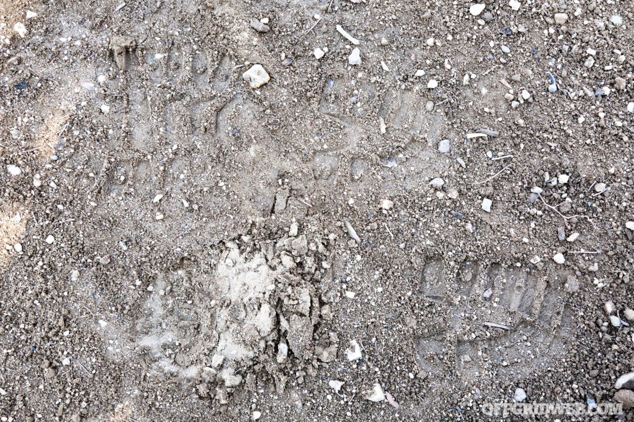 Footprint Analysis 101: Getting a Foot Message | RECOIL OFFGRID