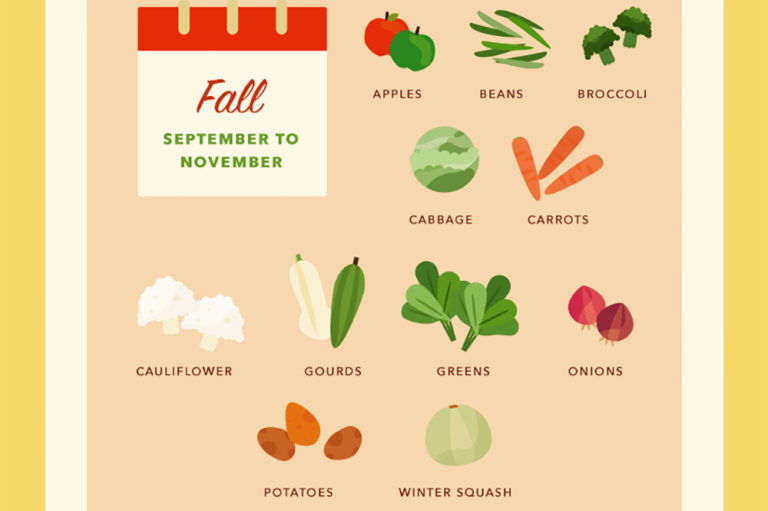 Infographic: A Quick Guide to Seasonal Edibles