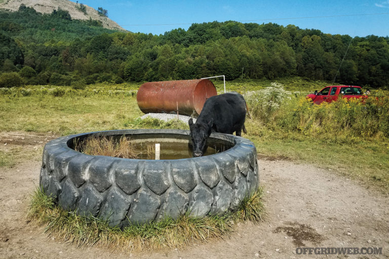 Well Informed: Things to Know Before Building a Well