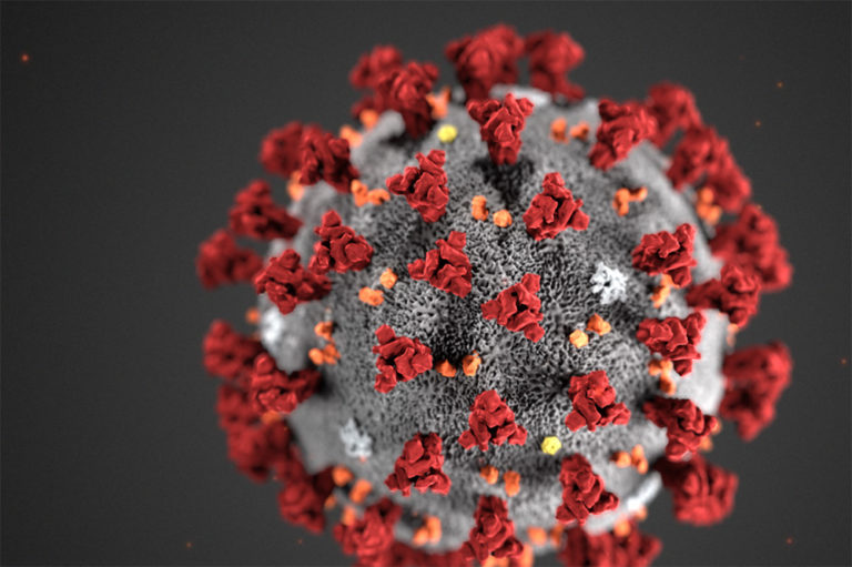 Coronavirus: How Concerned Should We Be?