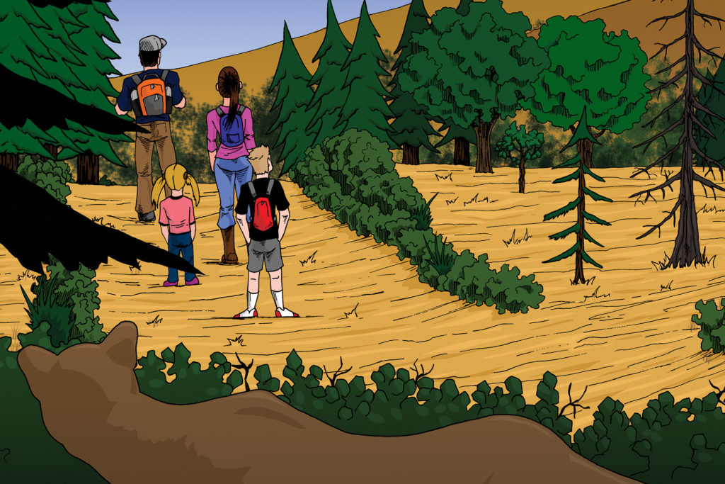 What If Your Family is the Victim of a Mountain Lion Attack?