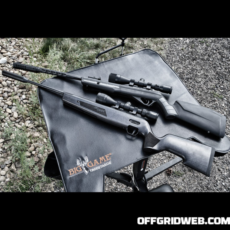 Comparing the .22 Caliber SIG Sauer ASP20 and  Benjamin Vaporizer Airguns