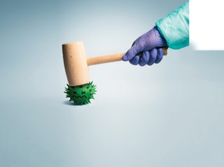 Winning the Germ War