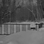 Sionyx Aurora Pro Settings