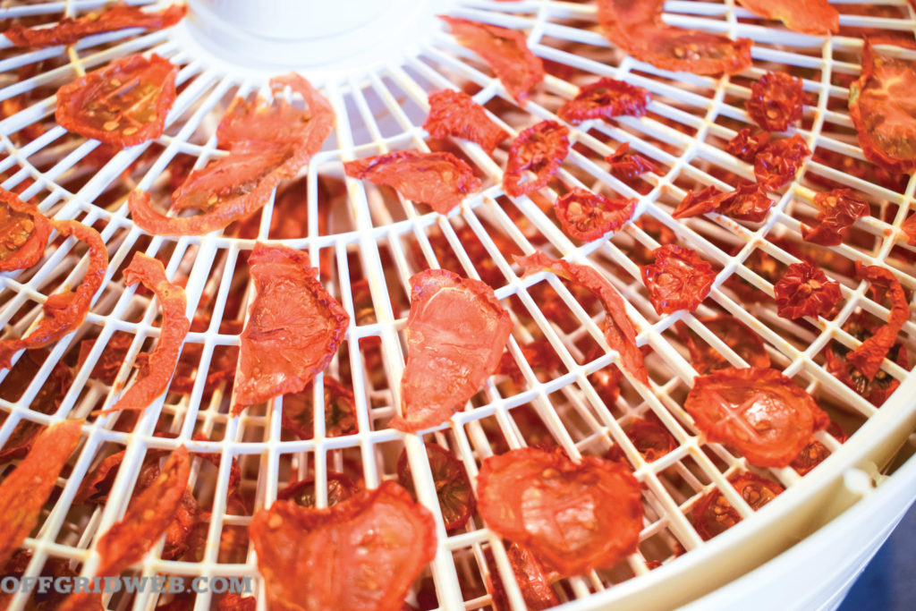 dehydrating food tomatoes