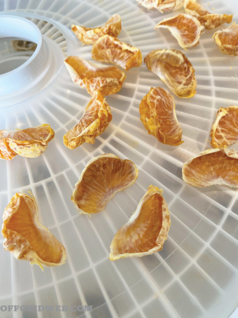 dehydrating food oranges