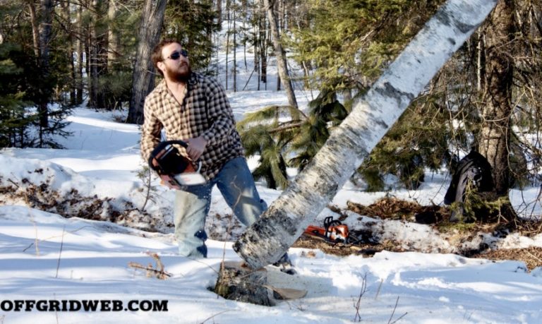 How To Fell a Tree: Summon Your Inner Lumberjack